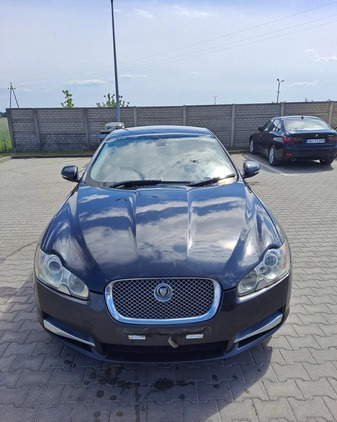 Jaguar XF cena 7800 przebieg: 150437, rok produkcji 2010 z Lesko małe 154